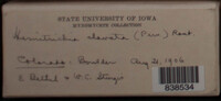 Image Associated With the Occurence